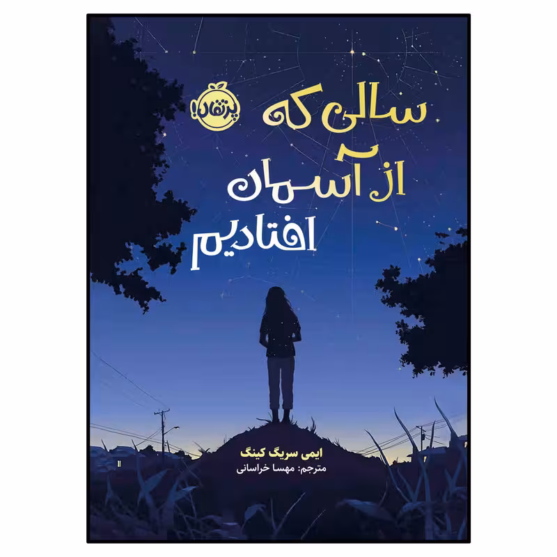 کتاب سالی که از آسمان افتادیم