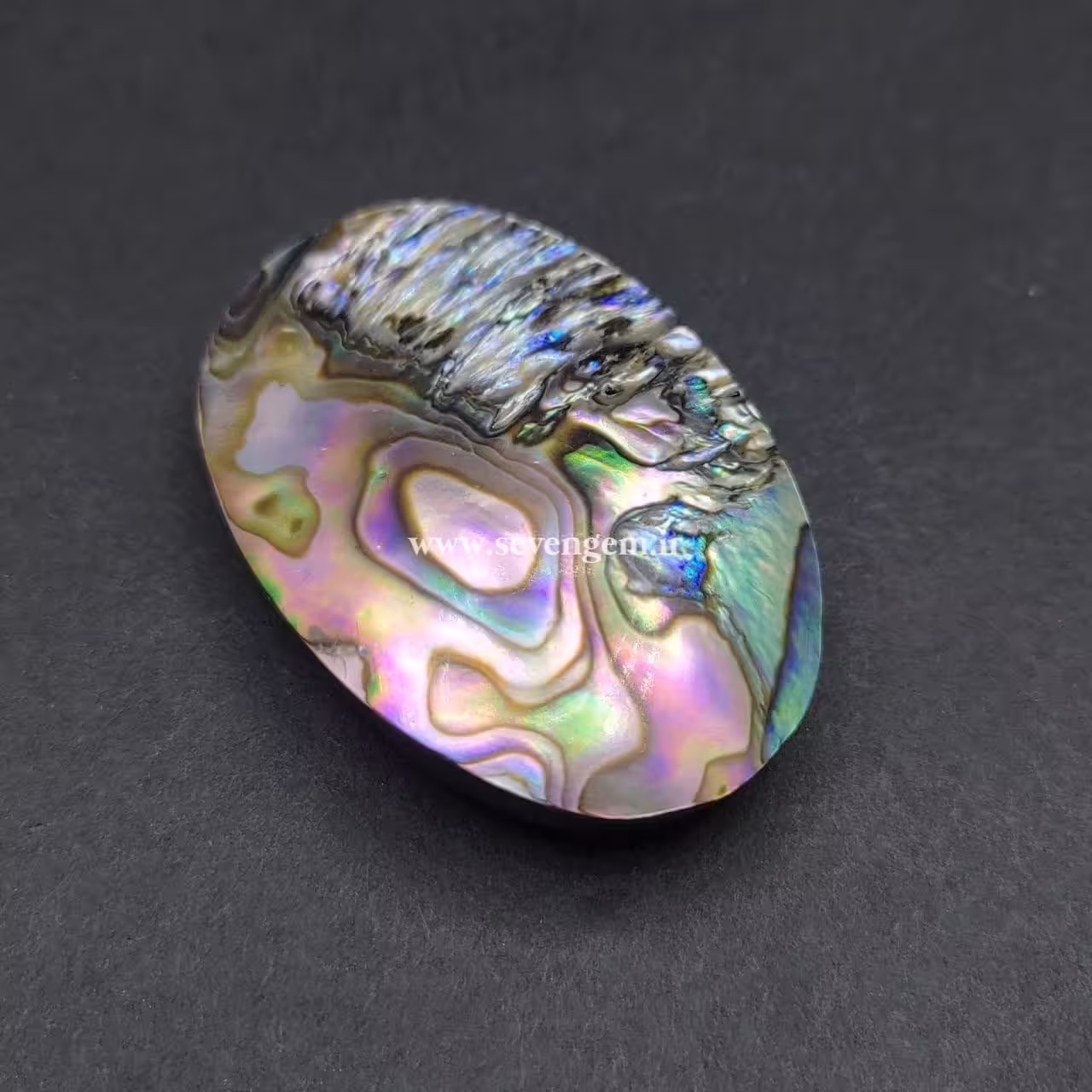 نگین بزرگ صدف آبالون کلکسیونی (کدA938)