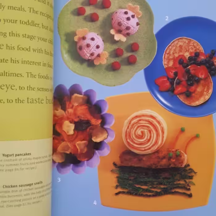 كتاب CRAFTS FROM YOUR MICROWAVE اثر Alison Jenkins انتشارات NEW BURLINGTON