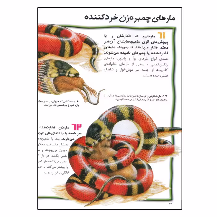 کتاب 100 حقیقت درباره ی مارها اثر باربارا تیلور انتشارات سایه گستر