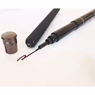 چوب ماهیگیری سیلوو مدل Gamma Carp 5.40 به همراه پک طعمه هونگ ژیانگ