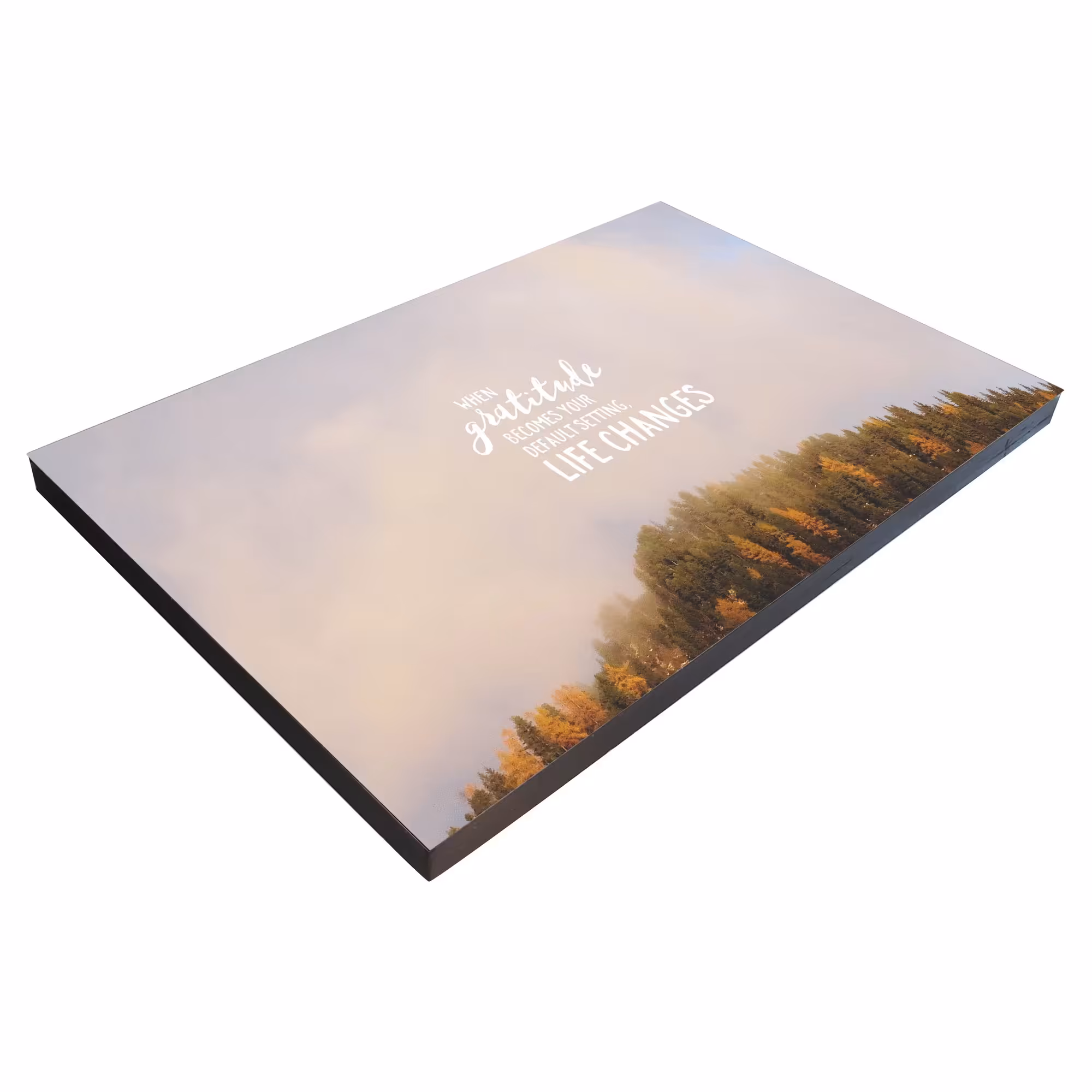 تابلو شاسی بکلیت طرح انگیزشی زندگی موفق مدل SH-s1874