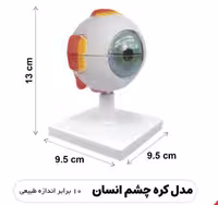 مولاژ کره چشم انسان