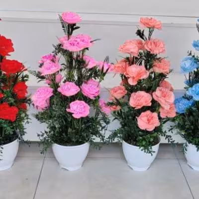 سوسن  19 گل  بزرگ