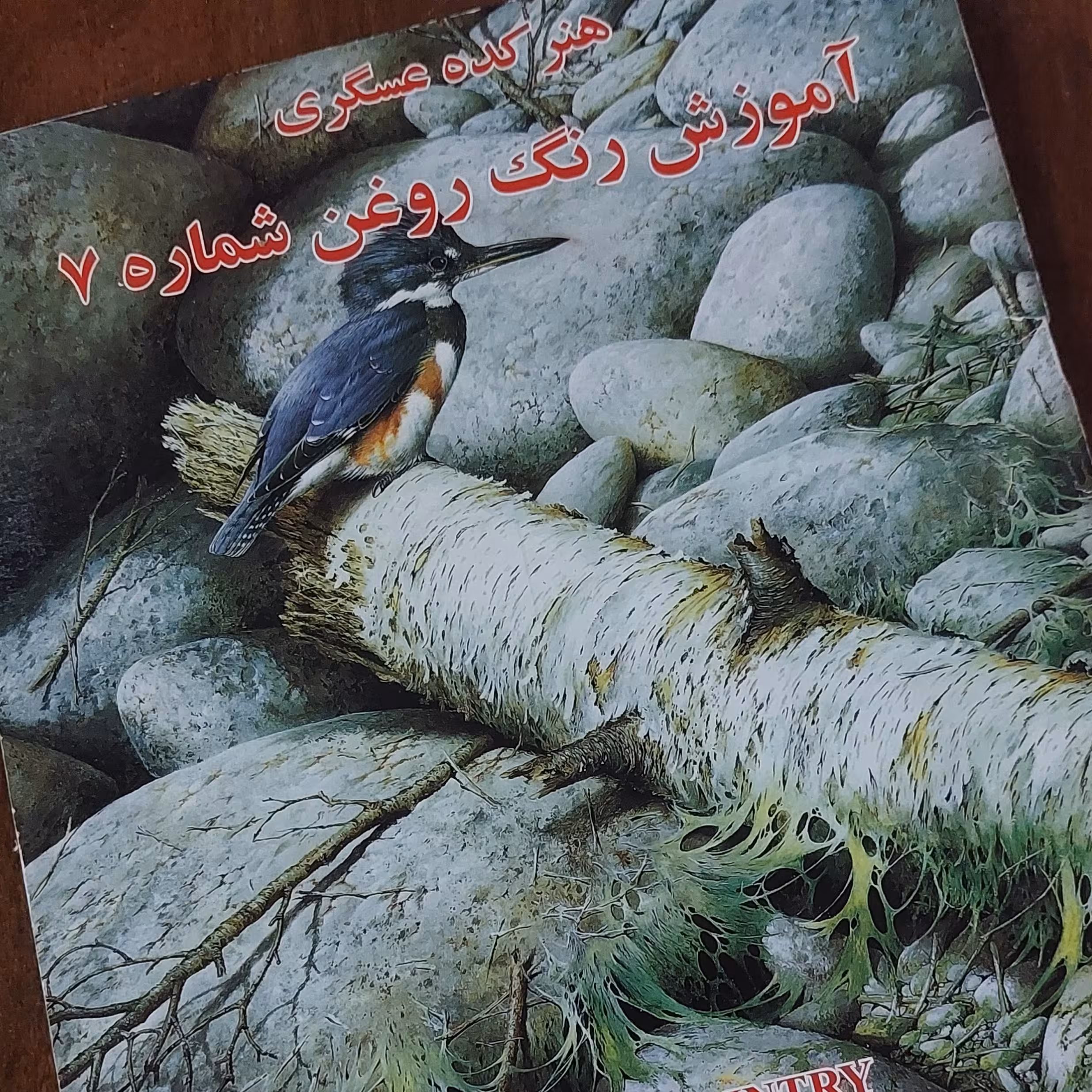 کتاب آموزش رنگ و روغن