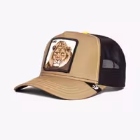 کلاه گورین مدل Lion Nights