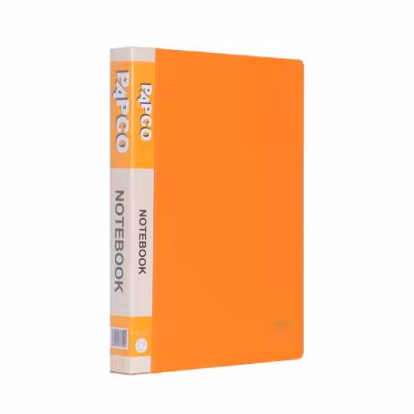 دفتر کلاسوری 100 برگ A5 پاپکو 626