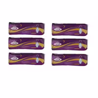 نوار بهداشتی گلریز کد 03 بسته 6 عددی