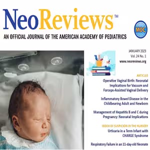 NeoReview 2023 FULL ARCHIVES at 35€
