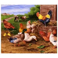 حیوانات مدل مرغ وخروس کد 26001