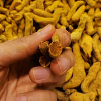 زردچوبه نسابیده هندی درجه یک( 500 گرمی )