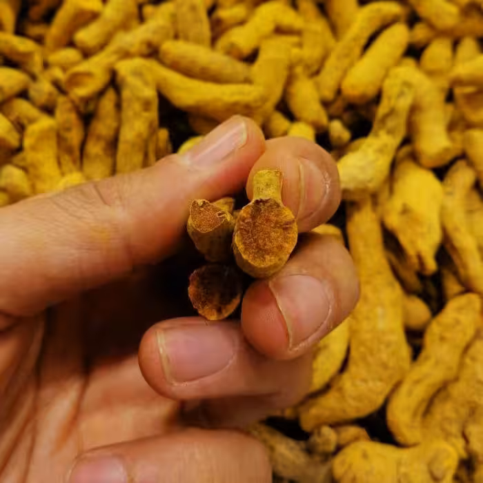 زردچوبه نسابیده هندی درجه یک( 500 گرمی )