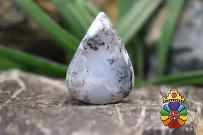 اپال دندریت