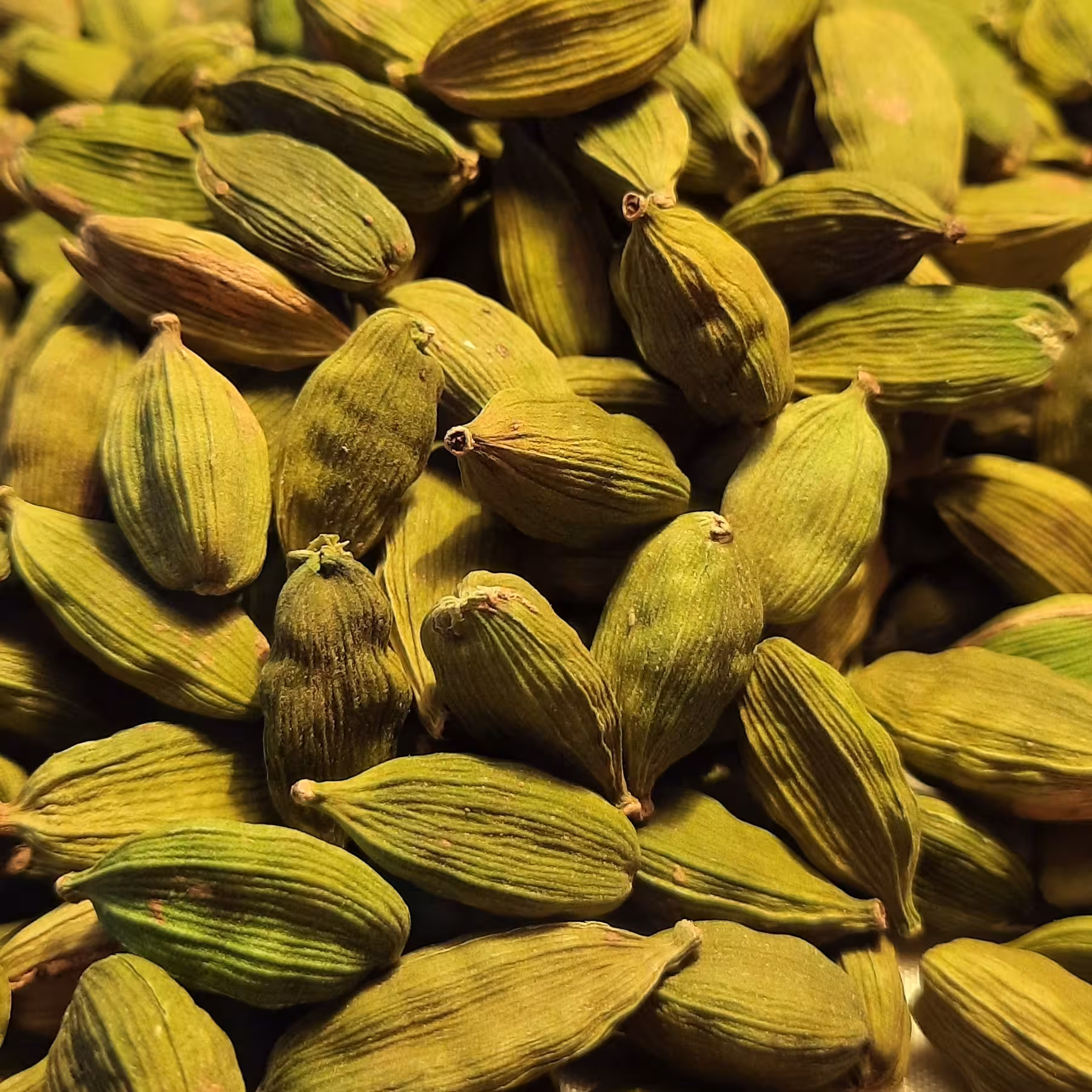 هل 10 گرمی درجه یک و عالی ودرشت 