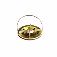 سر پیکنیک کوچک نپتون
