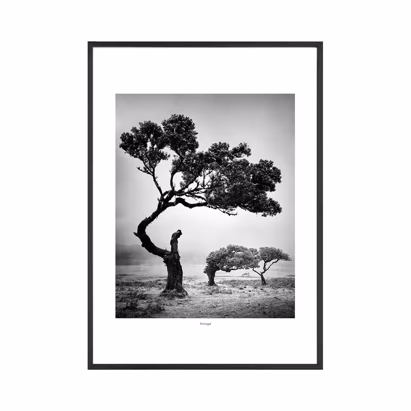 تابلو مدل ورتیکال 8 | دنیای قاب