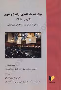 پیوند حمایت کنسولی از اتباع و حق بر دادرسی عادلانه