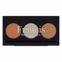 فرانسیس پالت رژگونه و هایلایتر 5