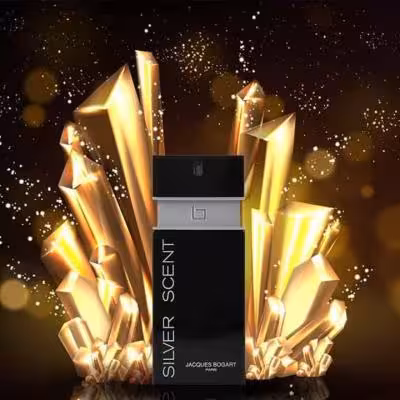 عطر بوگارت سلیور سنت برند پایان