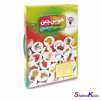 بازی فکری زاغک مدل هوش چین 2 تکه -فروشگاه اینترنتی شهرکالا-فروش آنلاین اسباب بازی