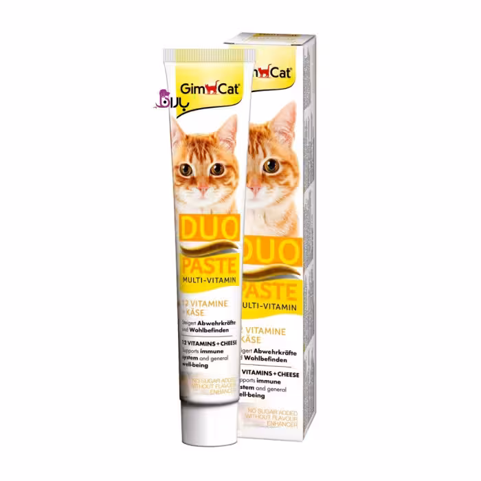 خمیر گربه جیم کت مولتی ویتامین پنیر (50 گرم)