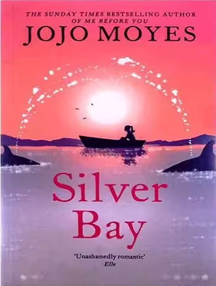 Silver Bay کتاب خلیج نقره ای (بدون حذفیات)