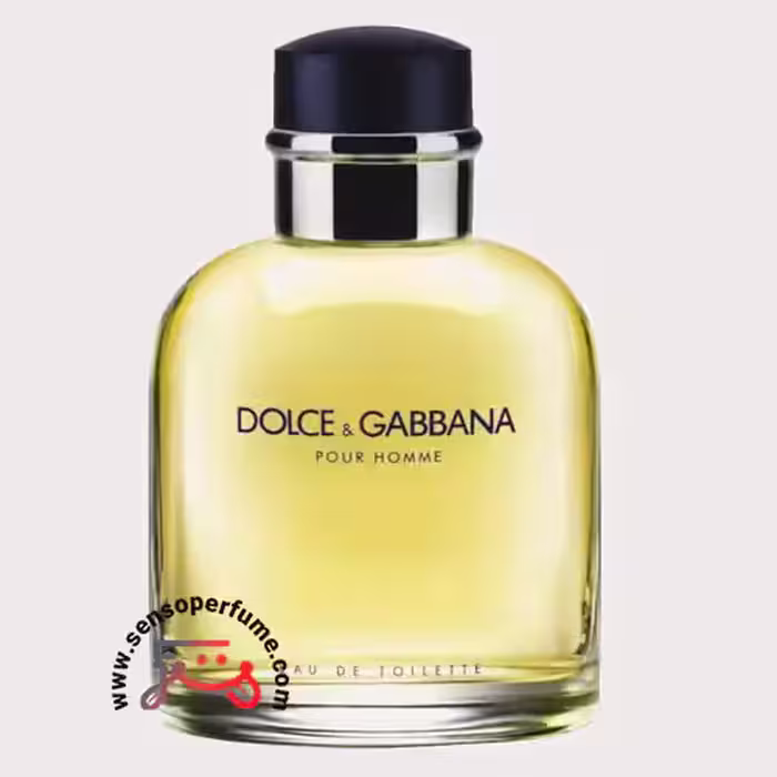 عطر ادکلن دلچه گابانا پور هوم | dolce gabbana pour homme