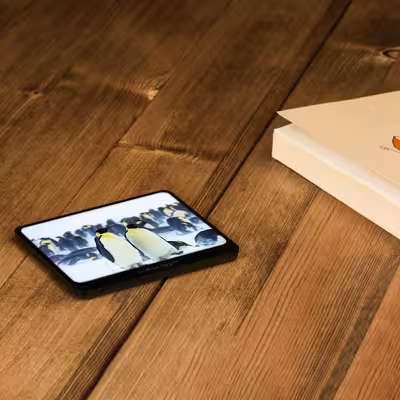 زیر لیوانی ماهوت مدل Penguin بسته 12 عددی