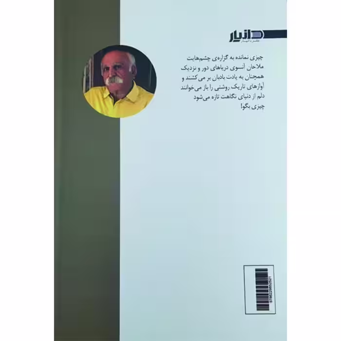 کتاب چیزی نمانده به گزاره ی چشم هایت اثر محمود معتقدی انتشارات دانیار