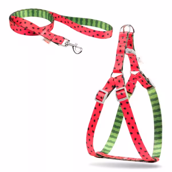 قلاده کتفی پونو نیناپت سایز 1 همراه با لید – 3 تا 7 کیلوگرم