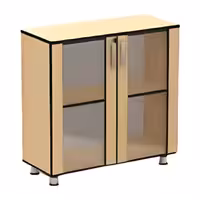 ویترین اداری کوتاه نوژن مدل K749