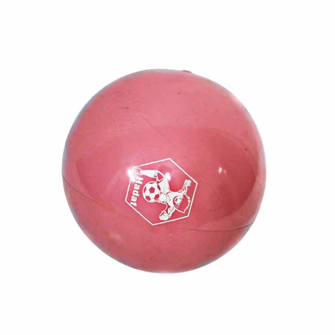 توپ سوزنی بزرگ 6