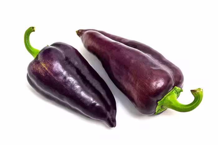 بذر فلفل شیرین کاپی بنفش Violet sparkle
