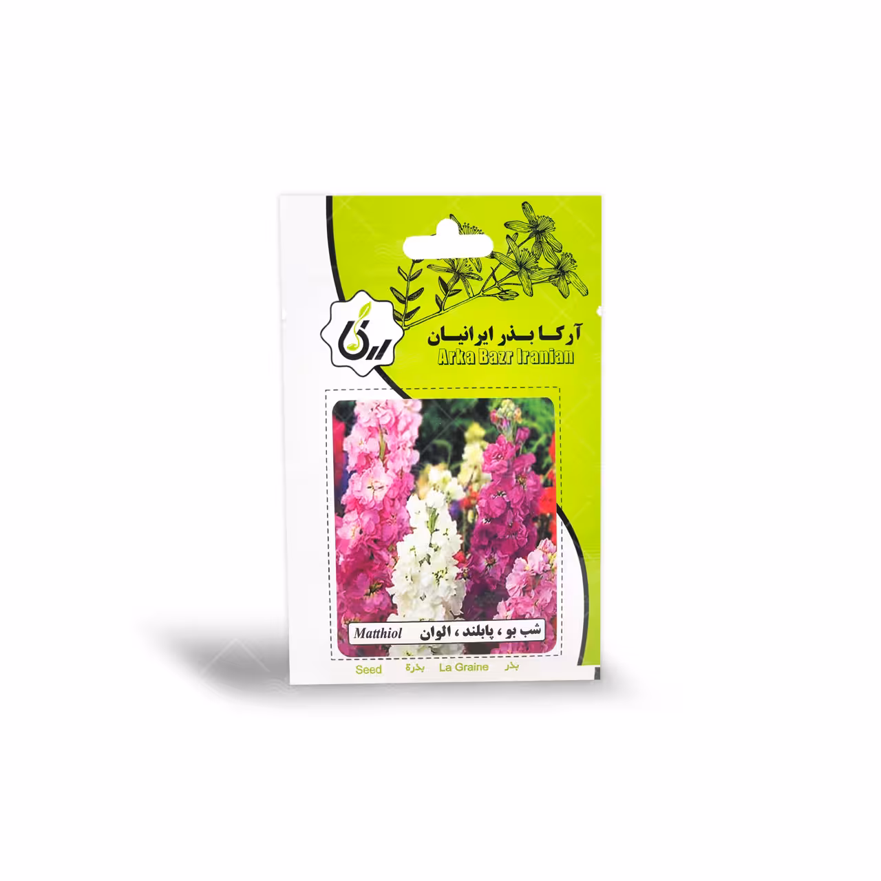 بذر گل شب بو پا بلند الوان آرکا بذر ایرانیان