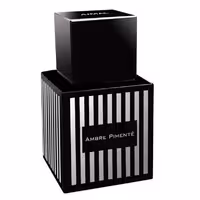 ادو پرفیوم مردانه اجمل امبر پیمنت حجم 100 میلی لیتر | Ajmal Ambre Pimente Eau de Parfum Men 100 ML