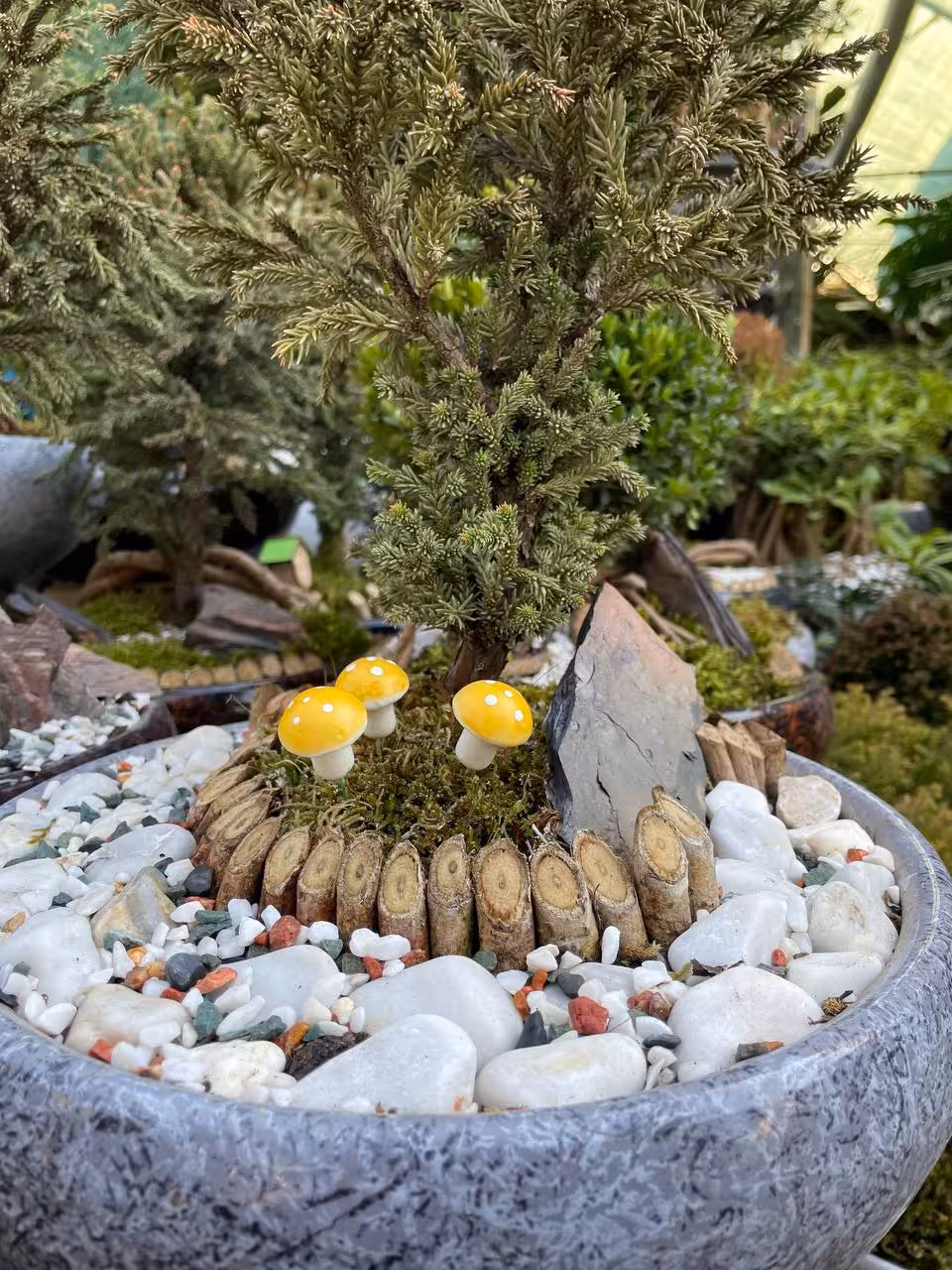 قارچ دکوری زرد مجموعه یک عددی