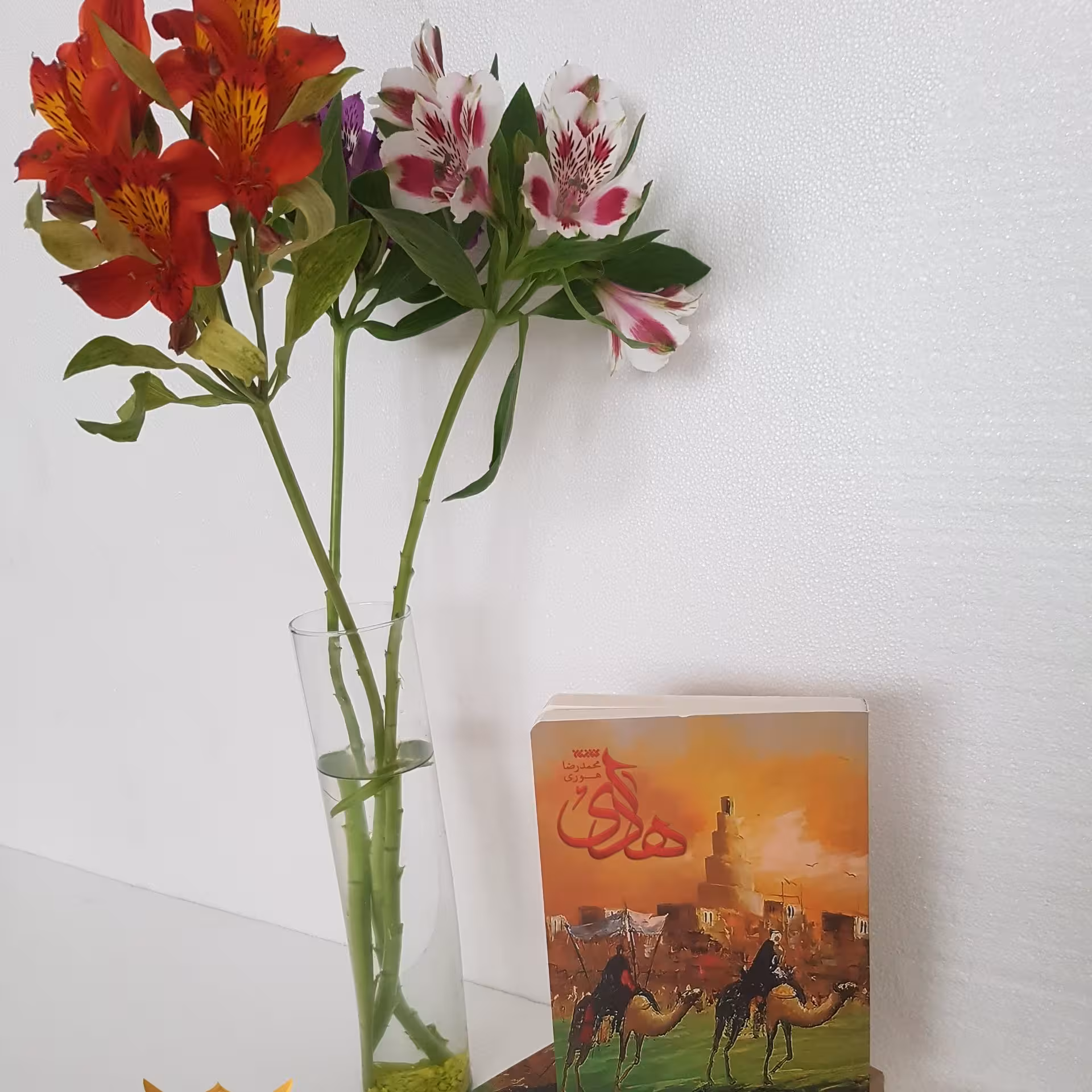 کتاب رمان هادی