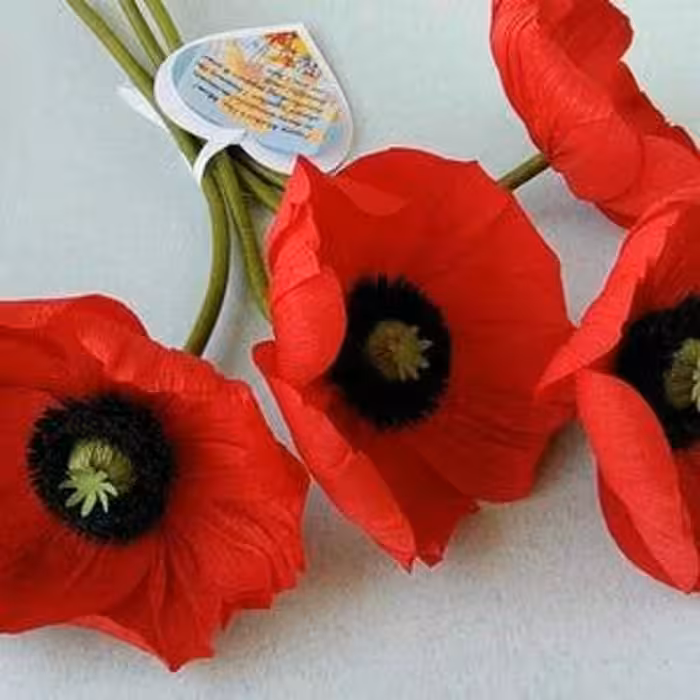 قالب فوندانت بهگز مدل گل شقایق مجموعه 3 عددی