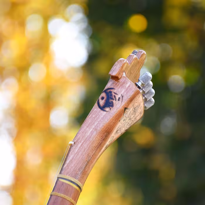 سه تار ایران ساز مدل شمع و پروانه