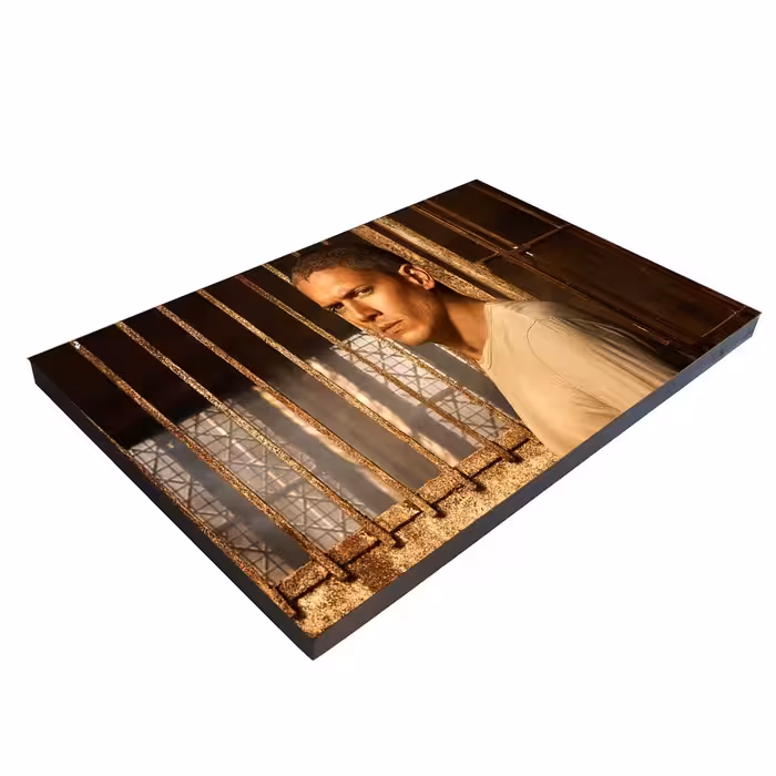 تابلو شاسی بکلیت طرح بازیگر ونتورث مایلر مدل SH-S4408