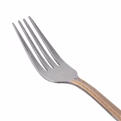  چنگال غذا خوری SF-002 بسته 5 عددی