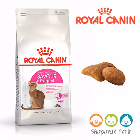 غذای گربه حساس به طعم غذا رویال کنین  ساور اگزیجنت