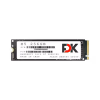 اس اس دی فدک ظرفیت 256 گیگابایت مدل SSD FDK B5 SEREIS 256GB M2 2280 PCIe 30 NVMe - بفی کالا | تجربه جدید خرید لپ تاپ