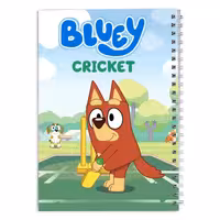 دفتر مشق بلویی