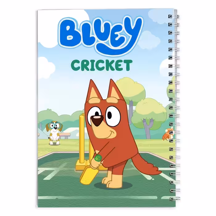 دفتر مشق بلویی