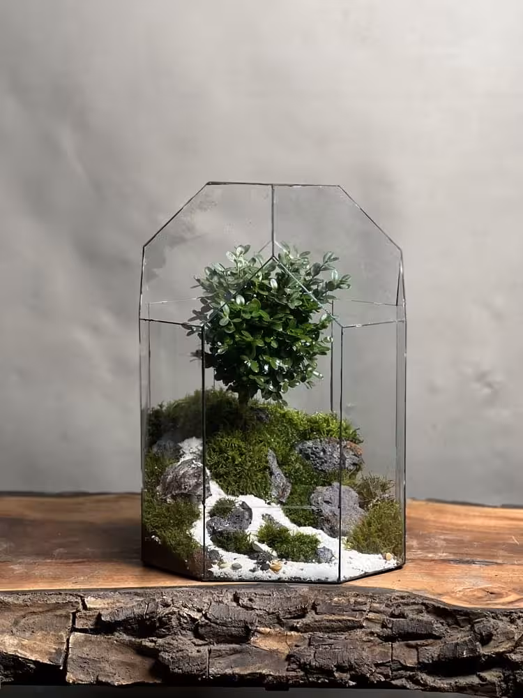 خرید تراریوم بنسای ژاپونیکا طرح وایت واتر ارسال فوری به تهران و سراسر ایران