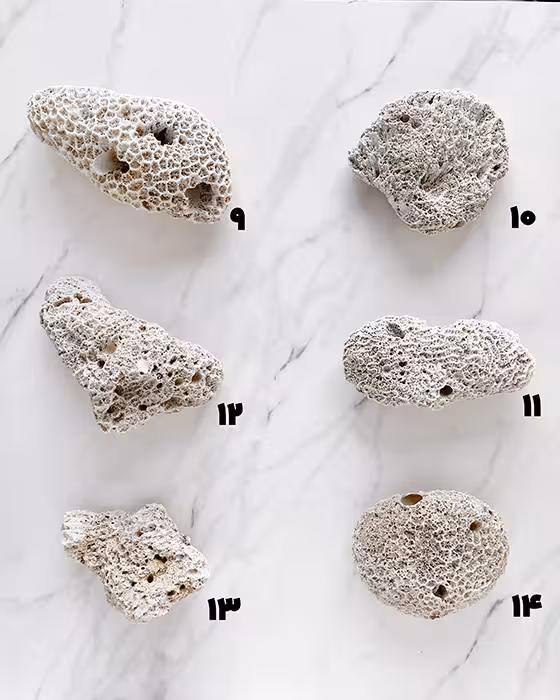 سنگ های مرجان کد 9