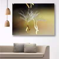 تابلو شاسی گالری استاربوی طرح قاصدک مدل Amazing 127 | دنیای قاب