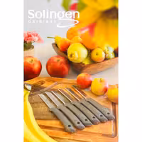 شش عدد چاقوی دندانه دار اصل سولینگن برای میوه و سبزیجات | تیغه فولادی ضدزنگ | دسته پلاستیکی با کیفیت | مجموعه 6 عددی | مناسب برش انواع میوه و سبزی | طراحی ارگونومیک | ساخت آلمان