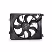 فن کامل سانگ یانگ اکتیون